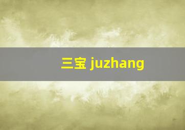 三宝 juzhang